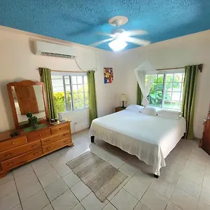 Green's Palace Jamaica 3* Oracabessa